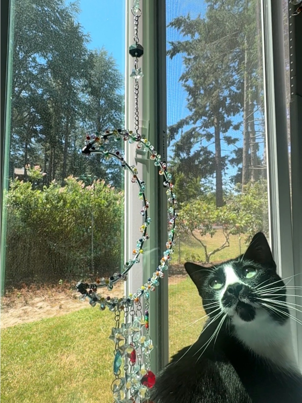Handmade sun catcher - Picture 5 of 5